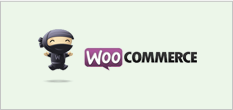 eCommerce Development and Web Development Company in Bangladesh 